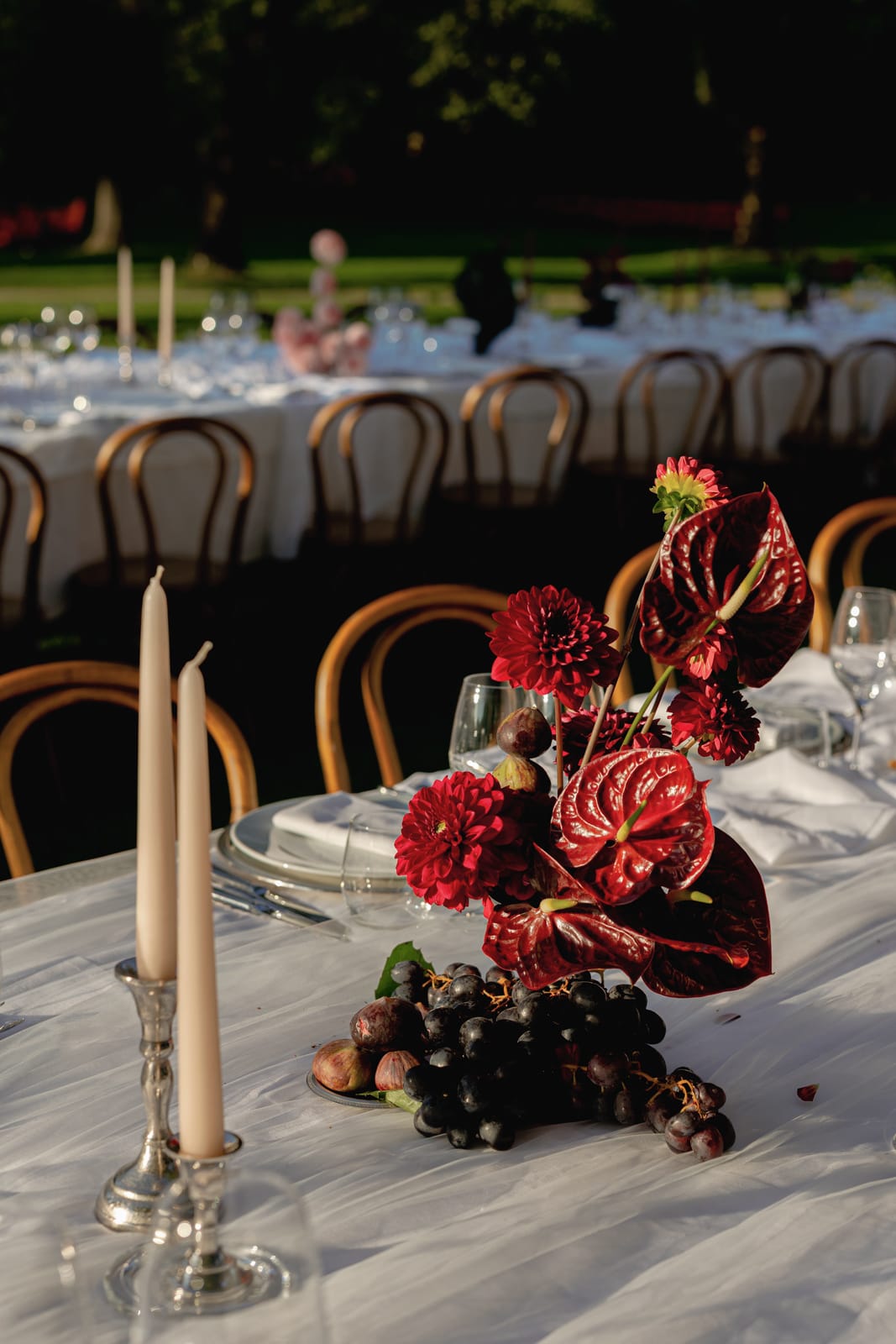 A white-clothed outdoor dining table is set with plates, glasses, silverware, cream-colored candles, a centerpiece of red flowers and grapes, and wooden chairs under soft sunlight.
